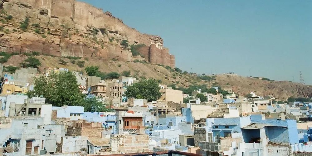 残遭登革热、疟疾、新冠轮番洗劫英国男子,又被眼镜蛇咬了