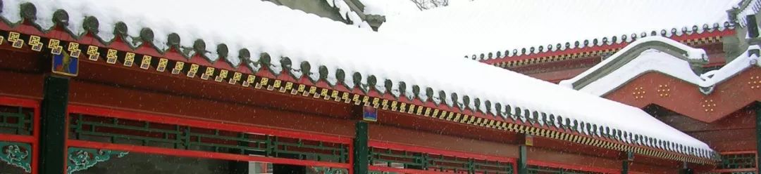 姚洋美国与中国竞争力,姚洋中国走向经济强国