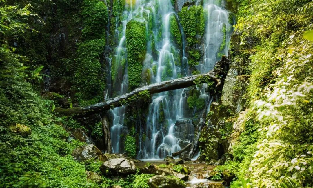 一年一度千年瑶寨盘王节,盘王节欢迎您