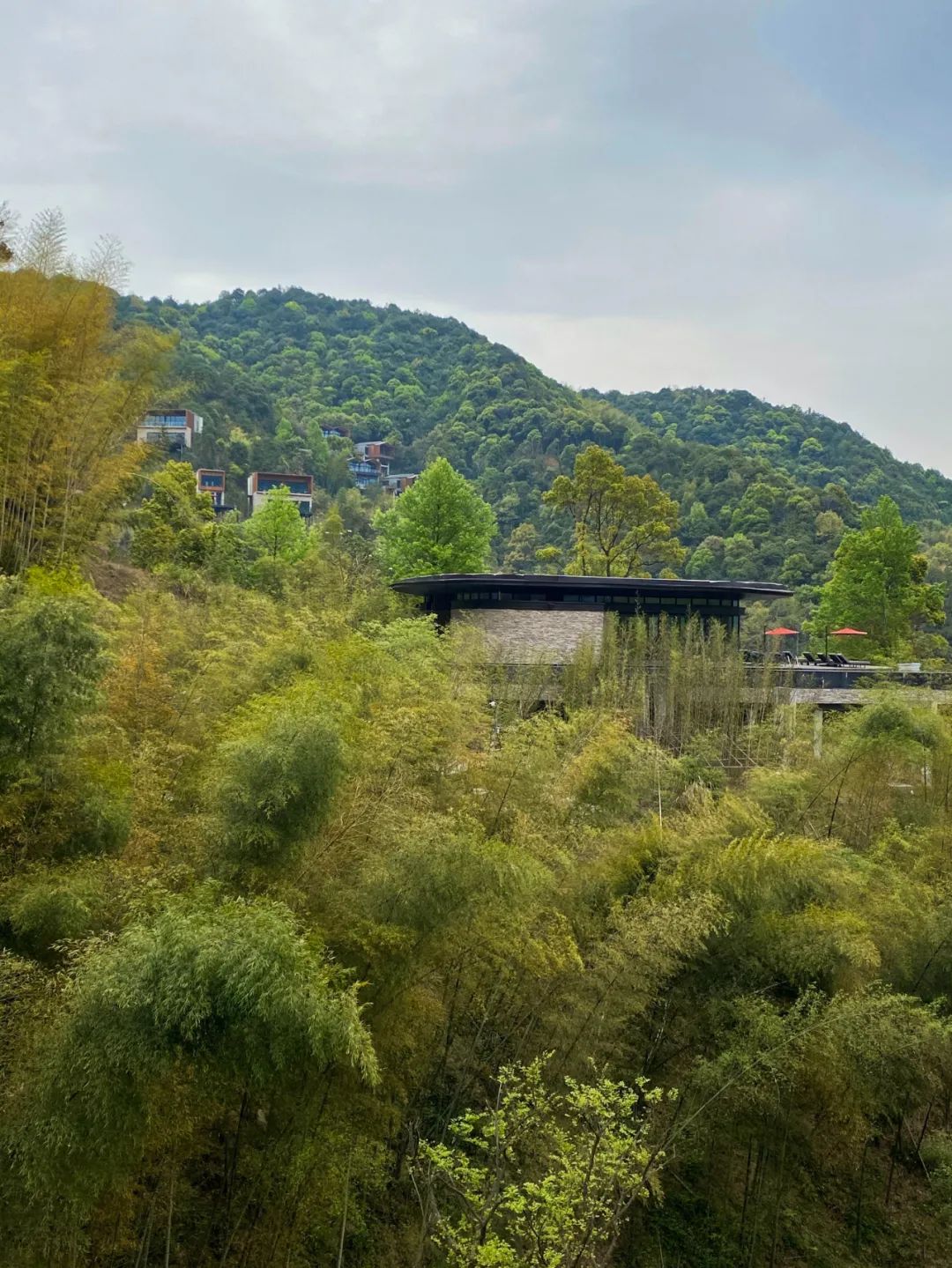 宁海安岚温泉度假酒店,宁海安岚酒店日式温泉