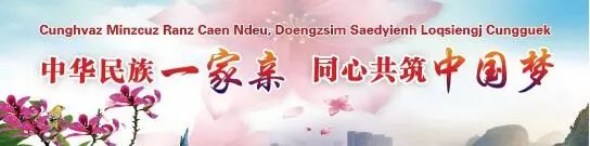 2021柳州事业单位招聘职位表,2022柳州事业单位招聘职位表