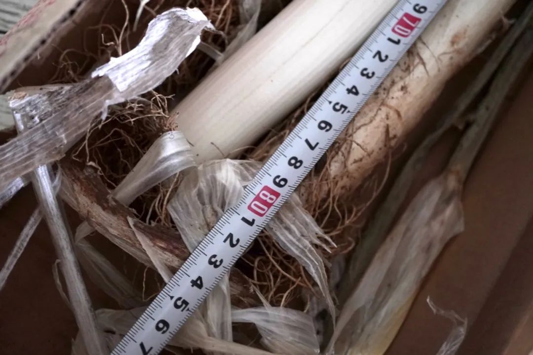 这世界上真有在拼夕夕购物而不翻车的人吗？