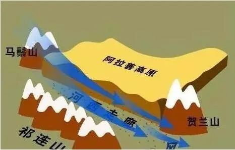 林子大了什么鸟都有下一句是什么,林子大了啥鸟都有讽刺图片