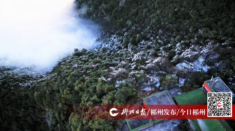 最美山峰云海,最美屋脊山观云海好去处