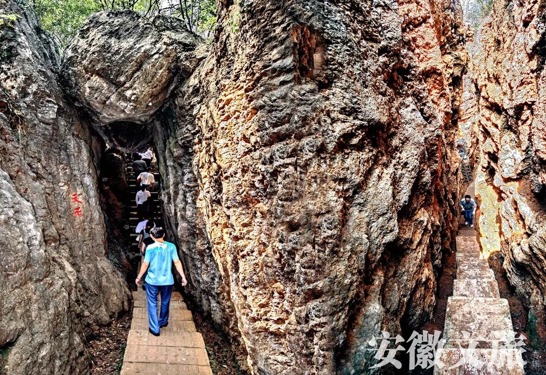 寻古问今,寻古问今的释义
