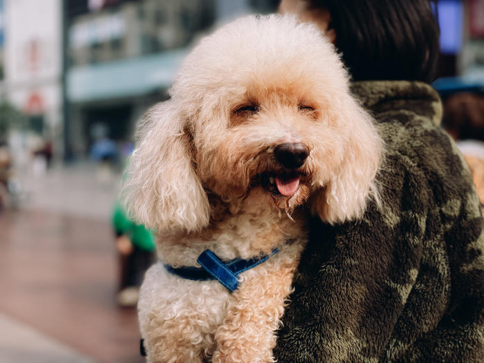 苹果手机官方摄影作品,ericwang摄影师