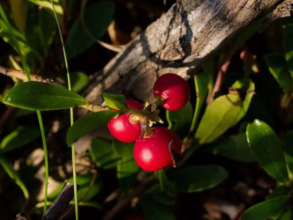 亲自用过有效的美白产品,自己用过的护肤品推荐