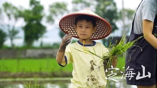 定海游玩推荐适合带孩子,舟山定海带娃好去处