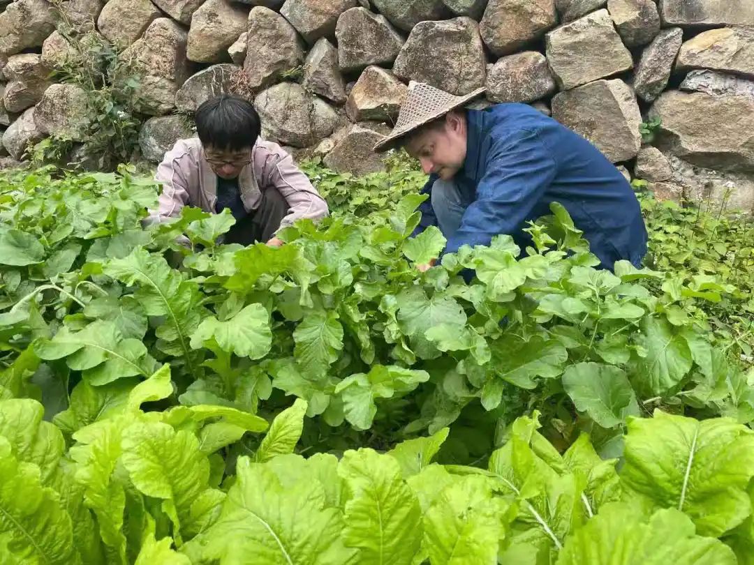 差别在哪？丽水普通山里农耕，却被俄罗斯小伙过成“田园诗”，获赞千万