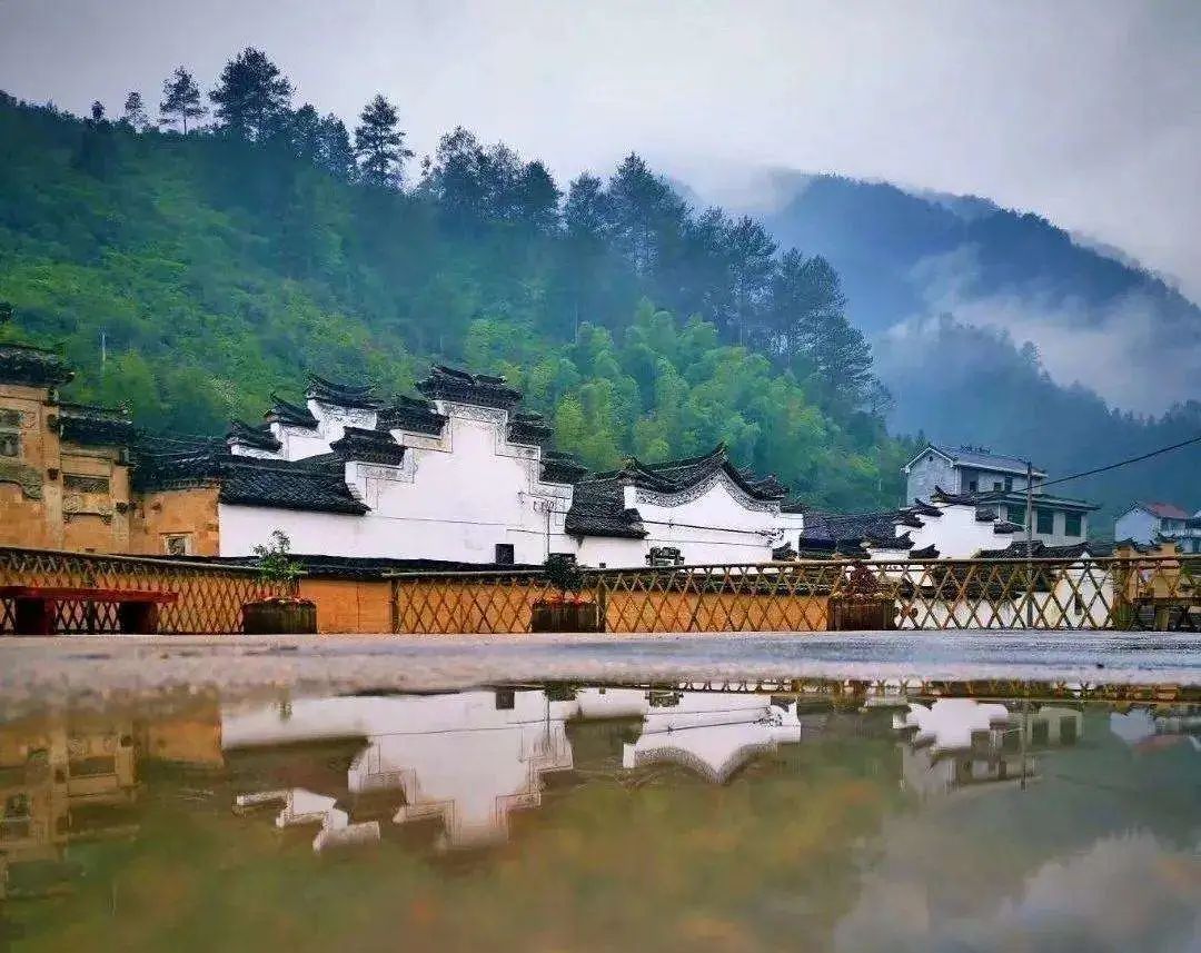 差别在哪？丽水普通山里农耕，却被俄罗斯小伙过成“田园诗”，获赞千万