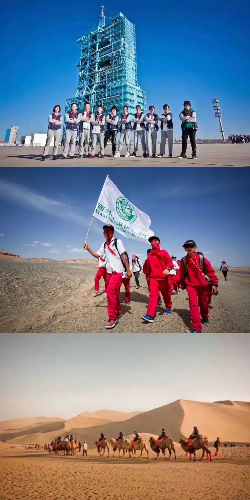 西外探校,上海西外探校日