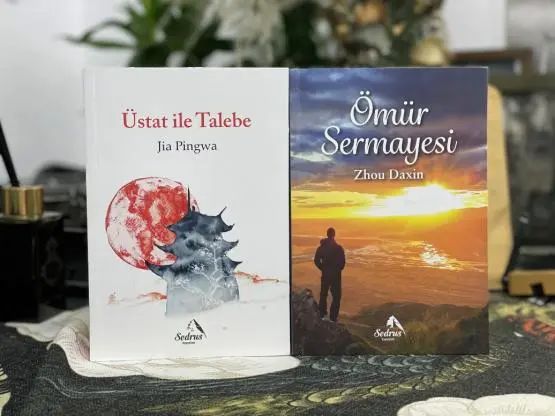 从国外翻译过来的书籍有哪些,关于翻译的外文书籍有哪些