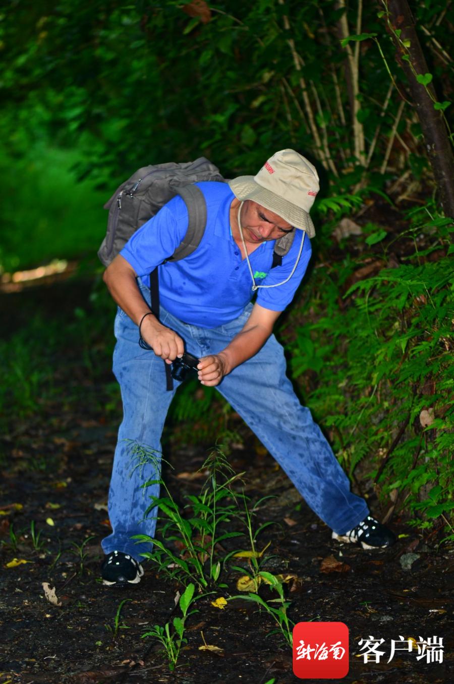躬身向小草中国热带农业科学院副院长、研究员刘国道35载致敬海南