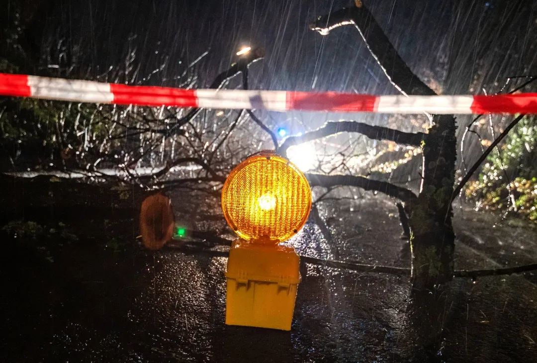 德国老百姓关心什么,德国现在重视什么