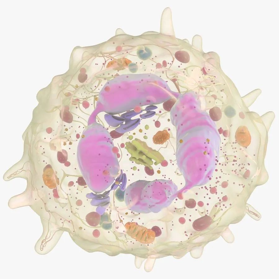 炎症的自述：发生、机理和结局