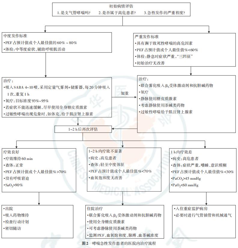 支气管哮喘防治指南2019全文,奥马珠单抗治疗支气管哮喘指南