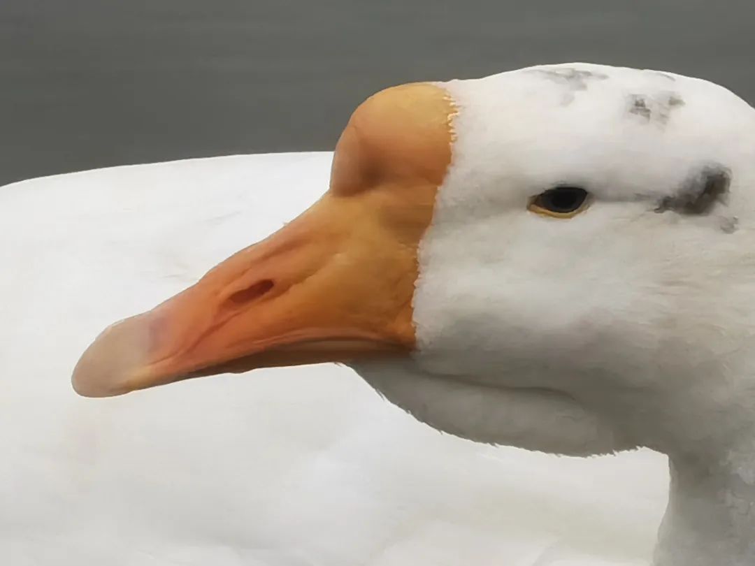 江西科技师范大学理工学院贴吧,再见了江西科技师范大学