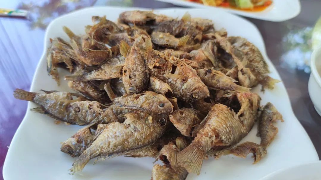 元旦去哪玩？一起去神谷花坝子吧