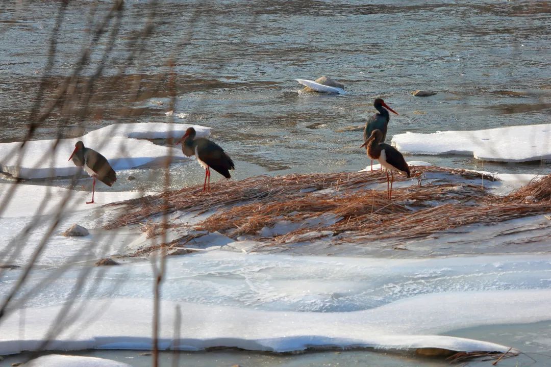 这些*款贷**可以延续、这些商品明年要降关税……民生大事件件重要！