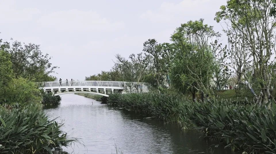 缓解城市热岛效应的措施,缓解城市热岛效应的有效建议