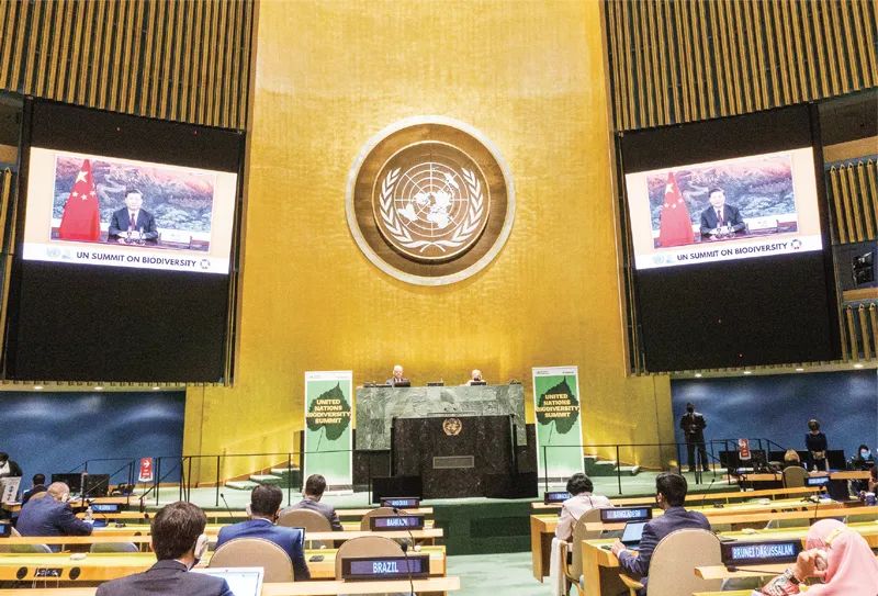 《求是》杂志发表习*平近**总书记重要文章《共同构建人类命运共同体》(附全文)