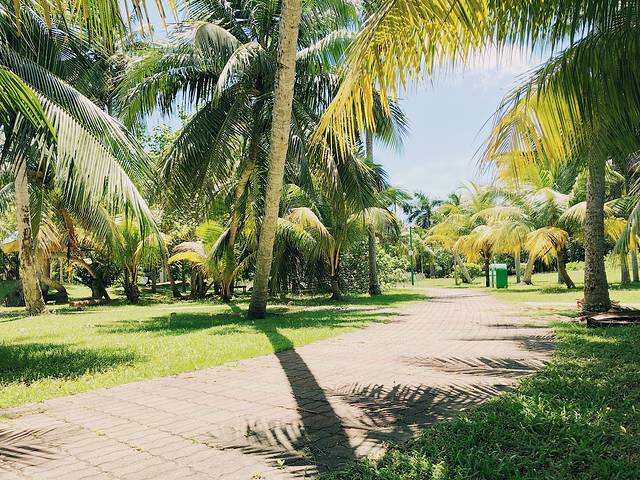 海南海口出发自由行攻略5天,四天三晚海口三亚环岛自驾游攻略