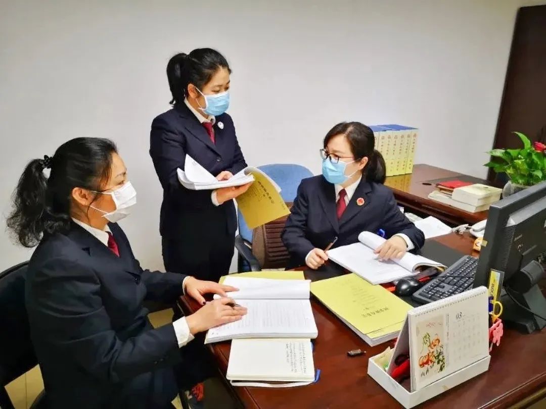 代表委员对检察工作建议被采纳,代表委员寄语检察工作