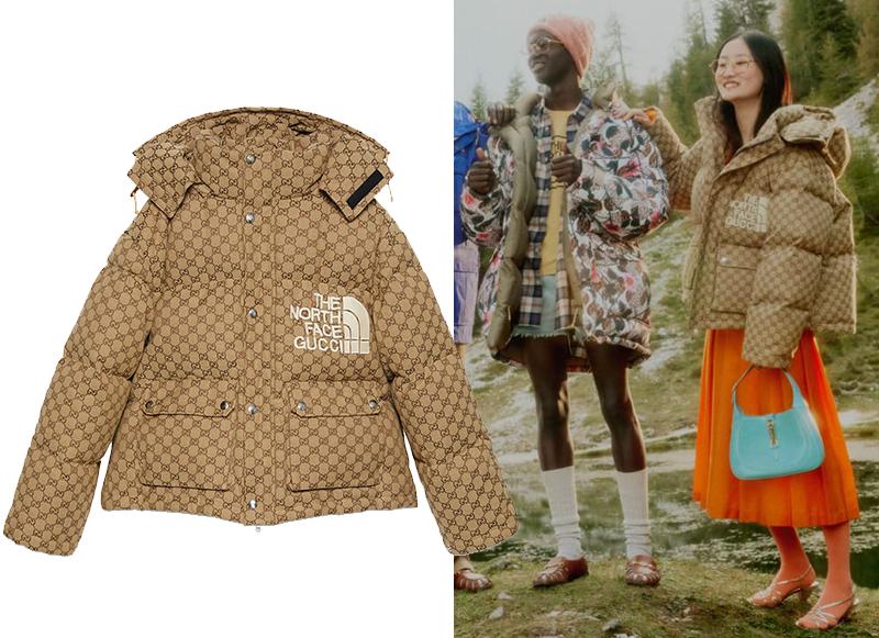 为什么满大街都是穿北面羽绒服的,北面羽绒服700和900的区别