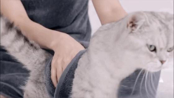 浼氬枬姘寸殑姣涘肪,浼氬惛姘寸殑娴村肪