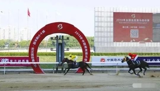 赛马国家级裁判考核,国家级马术裁判