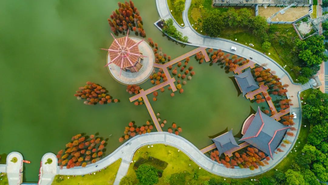 1月最美的佛山藏在这里!全部免费赏!