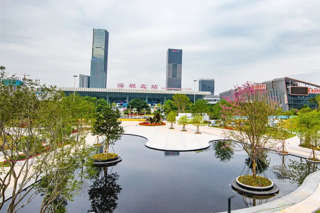 [春节留深]龙华游园攻略之民治街道篇