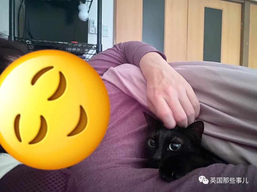 捡到小奶猫变身成男神,捡回来的小奶猫