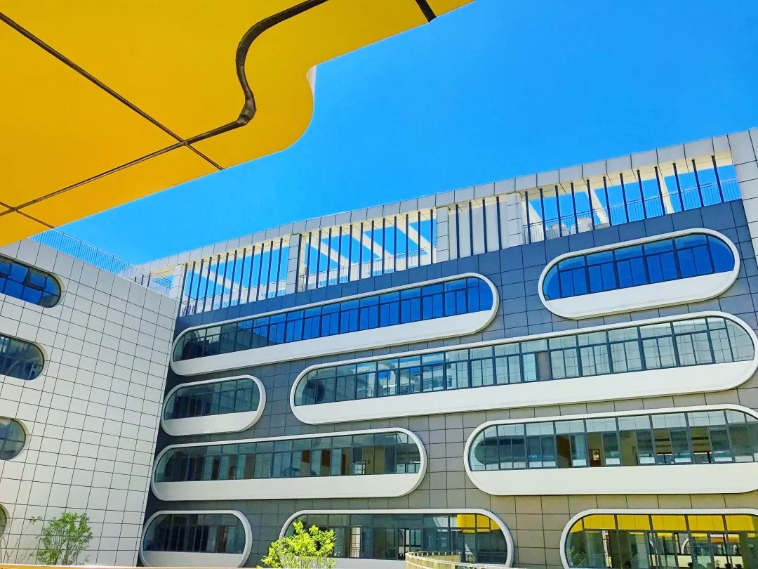 为这所学校点赞,为这样的学校点赞