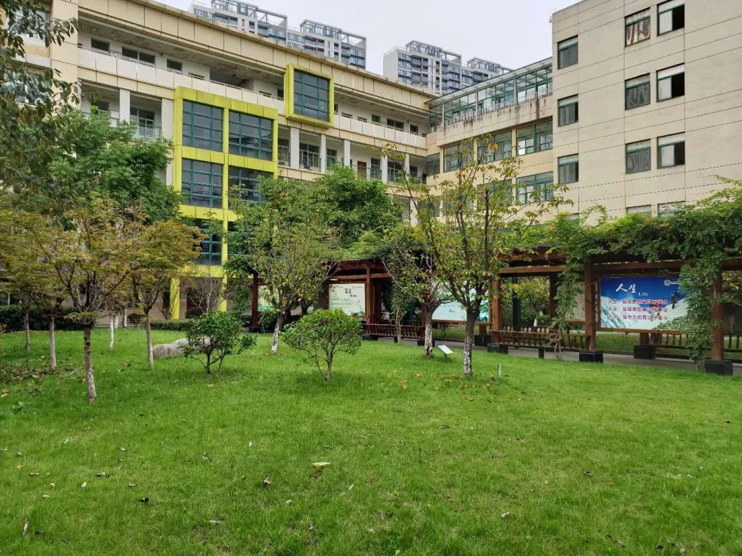 为这些优秀的孩子们点赞,为八中的孩子点赞