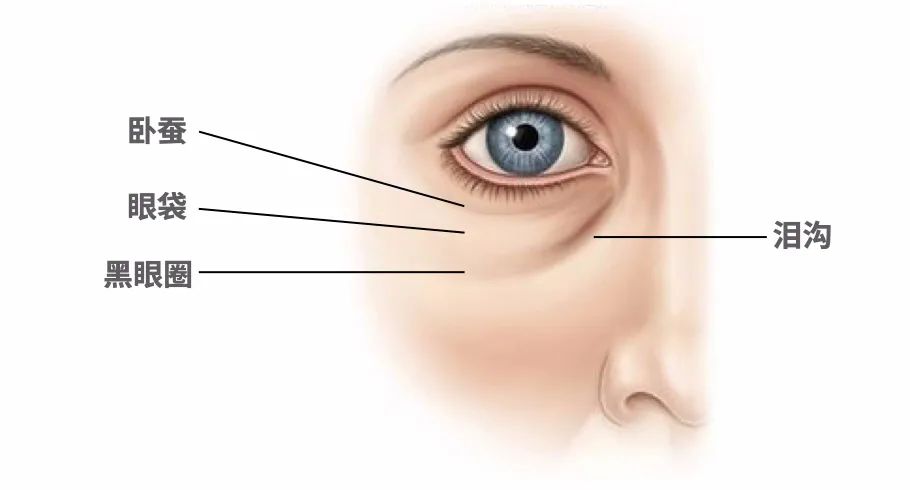 三秒让你找到最适合你的眼妆,让你一秒变美的眼妆小细节
