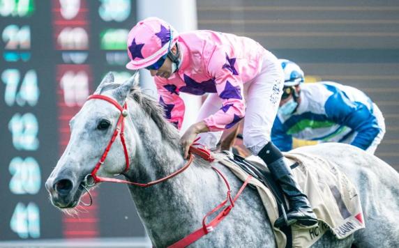 世界马匹年终排名出炉，中国香港“金枪六十”跻身前十