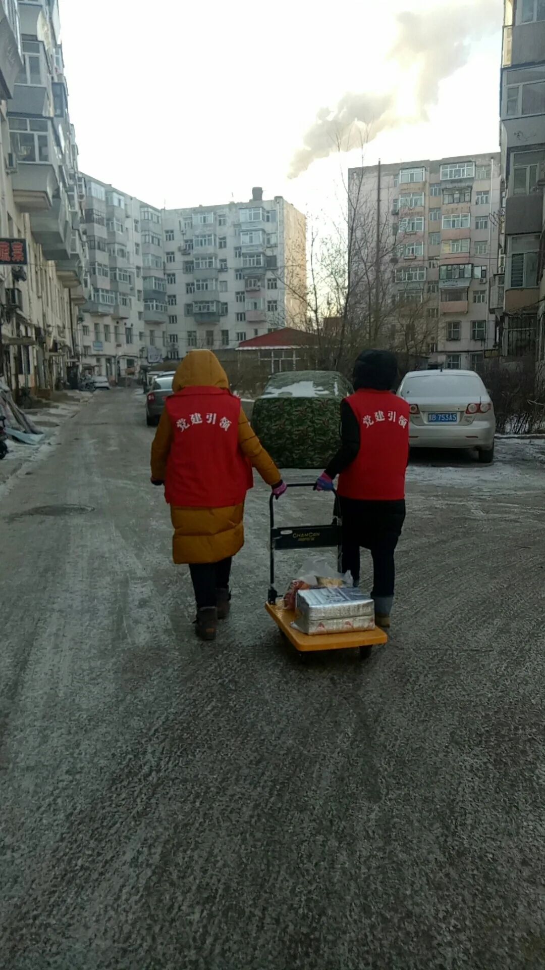 社区临时党支部负重前行 (临时党支部守护平安)