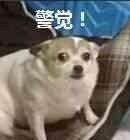 禁毒宣传进社区2018远离毒品,江汉区最近禁毒宣传