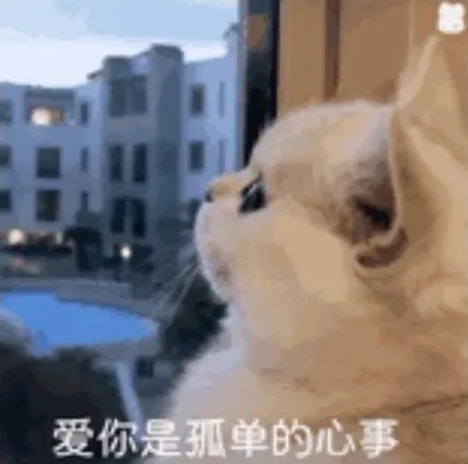 胡一天近日待播电视剧,胡一天睡着的视频