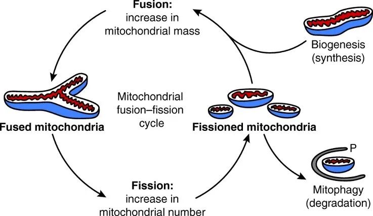 21天测试,21天测评