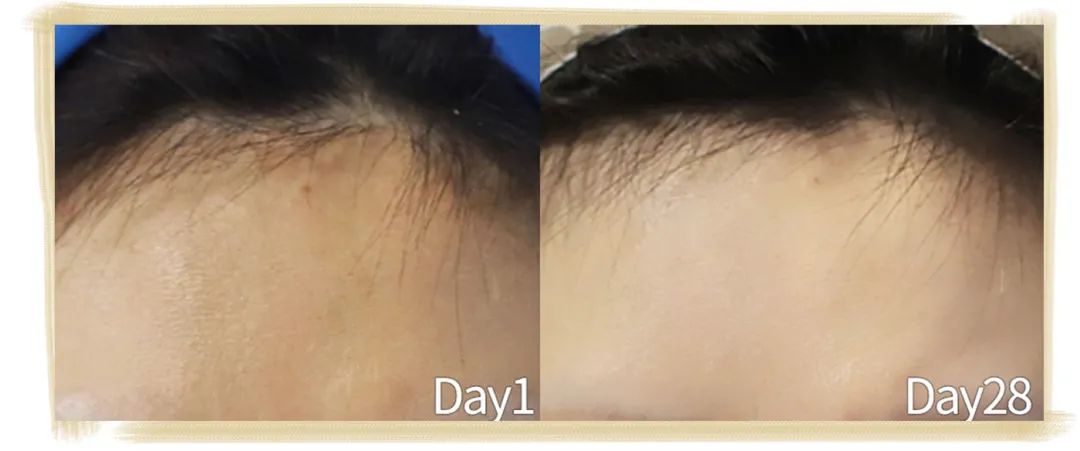 21天不间断测评,21天全测评