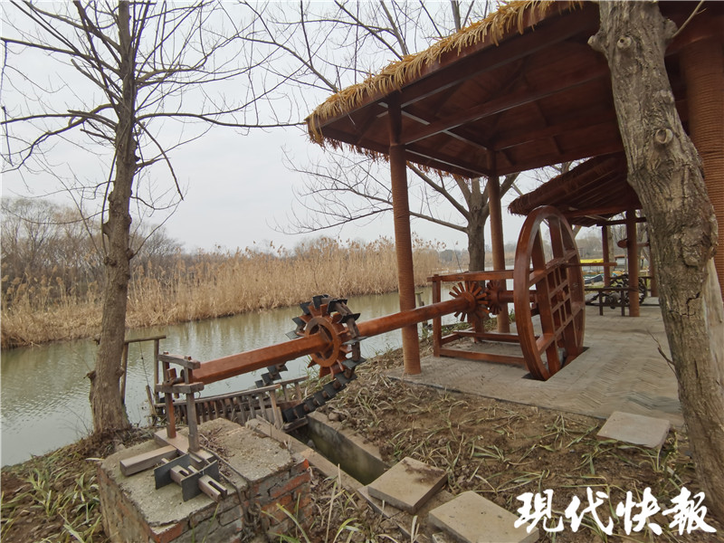 “凤凰”再“起飞”,扬州这处“生态绿肺”改造完成