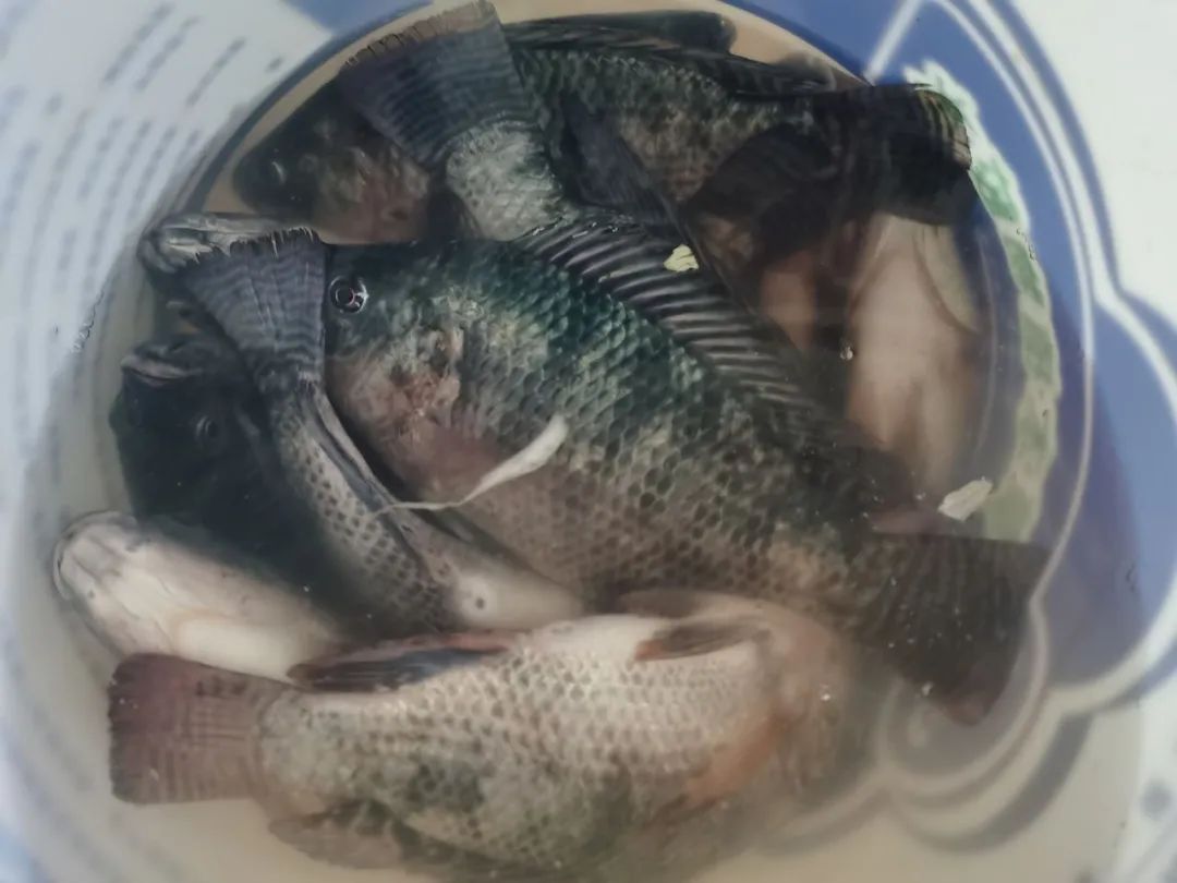 来晒一下公司发的年货,晒晒公司发的年货