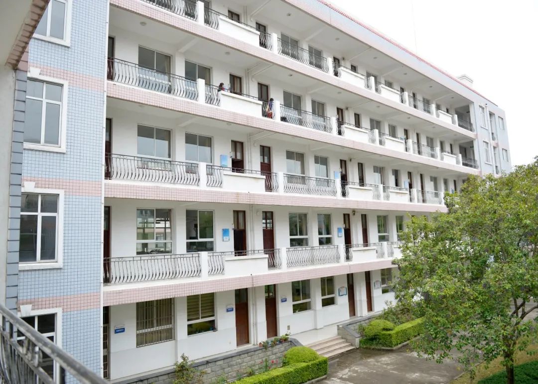 怎样“读懂”蟠龙千年历史，徐泾这所学校“条理清晰”→