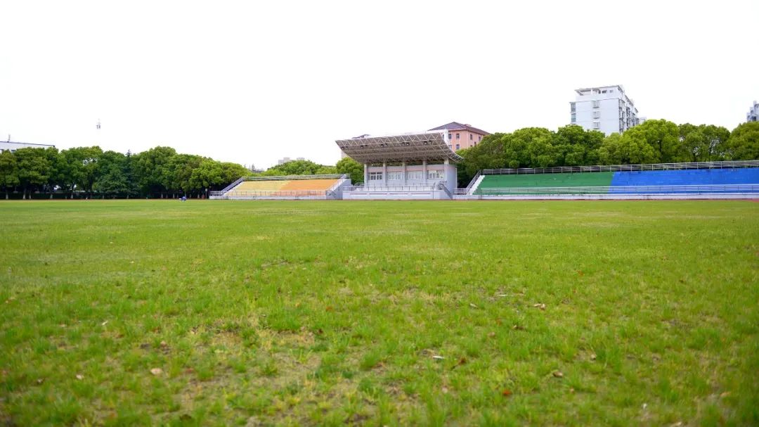 怎样“读懂”蟠龙千年历史，徐泾这所学校“条理清晰”→