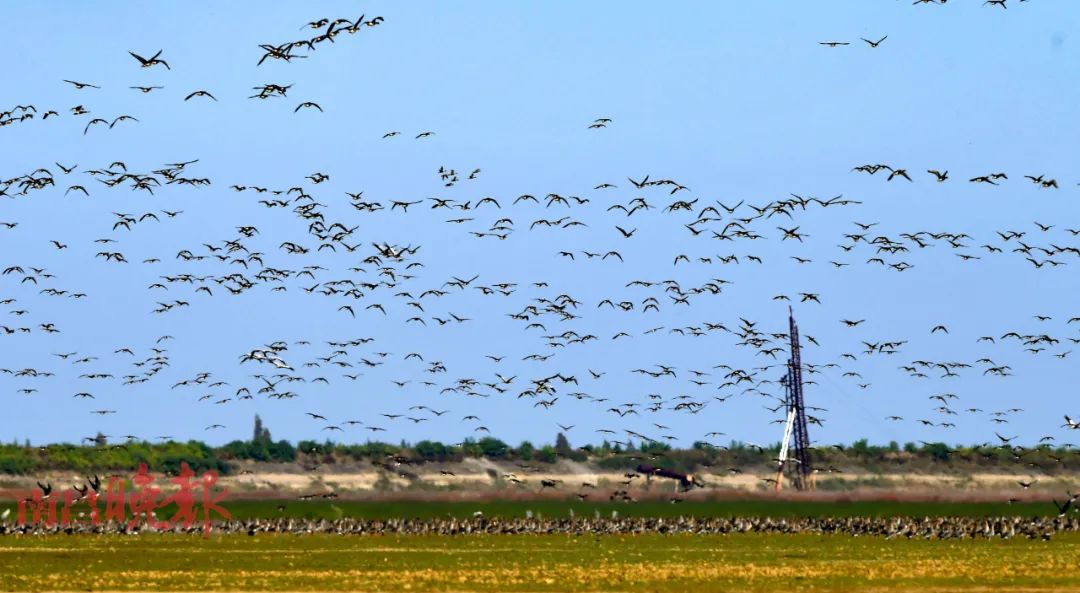 你不知道的南昌周边美景,南昌风景超好的地方