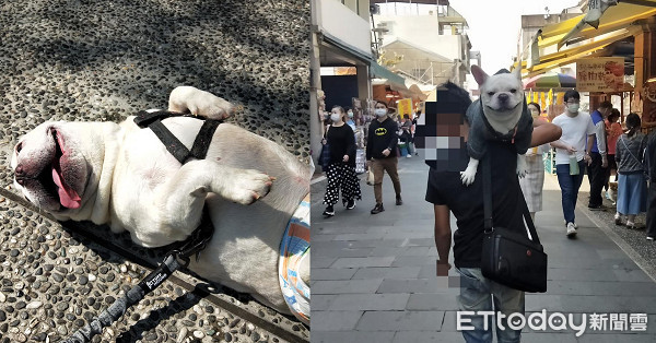 散步到一半躺地甩舌头赖皮！　哥单手扛「17公斤沙包」背影帅炸