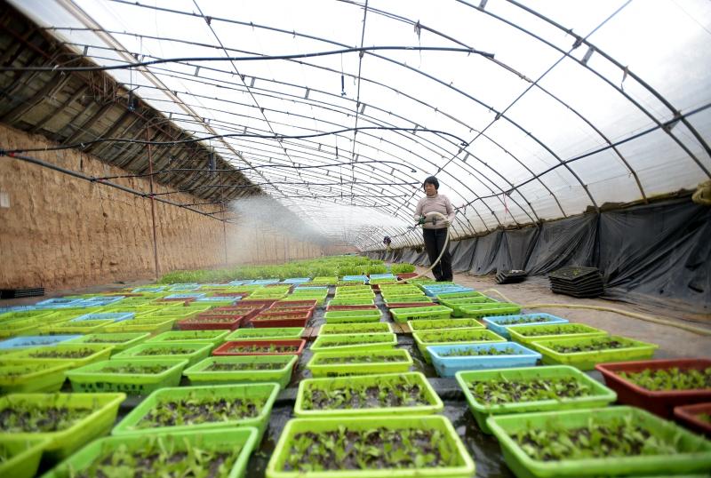 非公党建助力经济社会发展,非公党建促扶贫