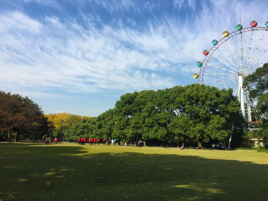 周边游玩推荐适合带孩子的公园,最好玩的主题公园排名前十